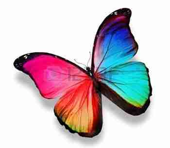 Mariposas con color