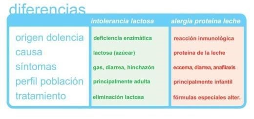 Cómo detectar la intolerancia a la lactosa: síntomas y tratamiento