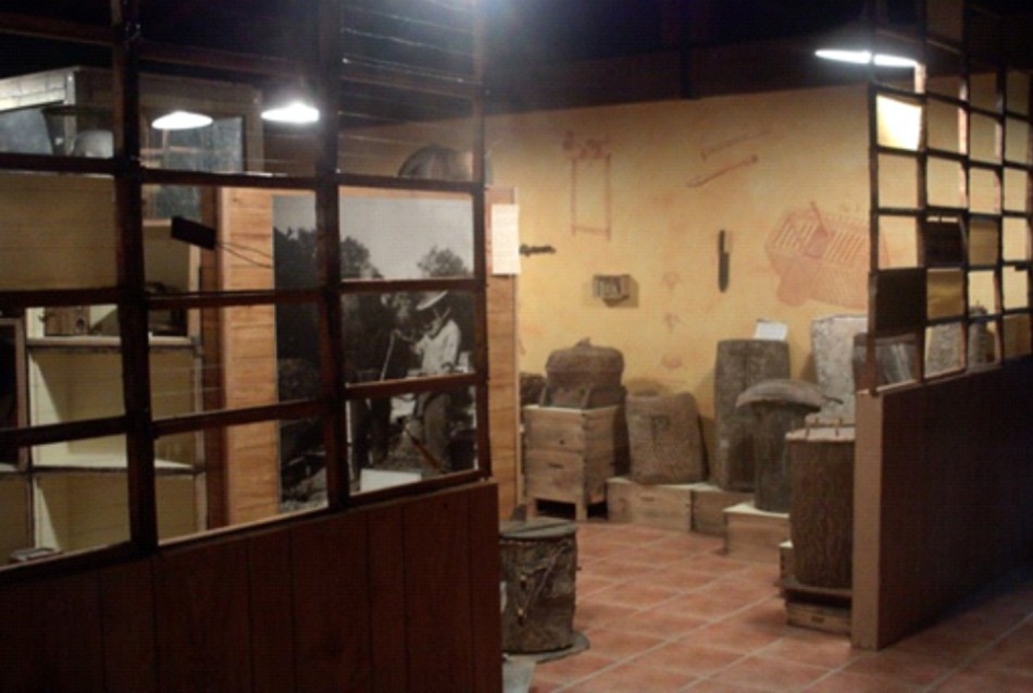 Visita al Aula Museo de la apicultura Sierra del Hoyo