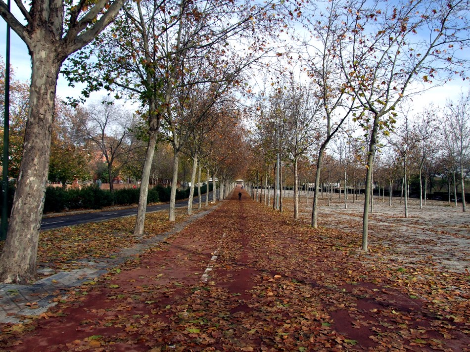 Parque Lineal de Palomeras
