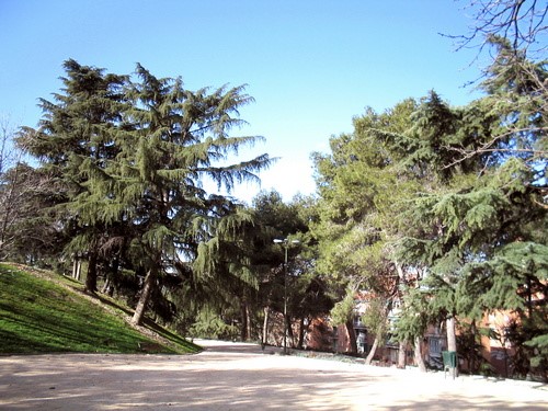 Parque Azorín