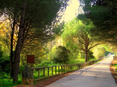 Parque Pinar del Rey