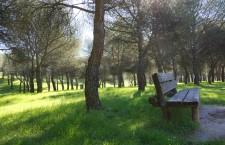 Parque de Las Presillas de Alcorcón