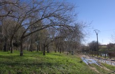 Parque de Las Presillas de Alcorcón