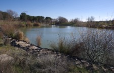 Parque de Las Presillas de Alcorcón