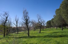 Parque de Las Presillas de Alcorcón