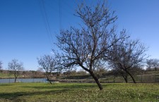 Parque de Las Presillas de Alcorcón