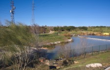 Parque de Las Presillas de Alcorcón