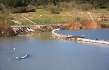 Parque de Las Presillas de Alcorcón