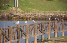 Parque de Las Presillas de Alcorcón