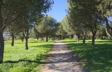 Parque de Las Presillas de Alcorcón