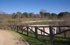 Parque de Las Presillas de Alcorcón