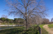 Parque de Las Presillas de Alcorcón