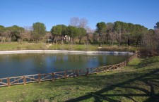 Parque de Las Presillas de Alcorcón