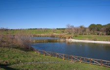 Parque de Las Presillas de Alcorcón