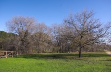 Parque de Las Presillas de Alcorcón