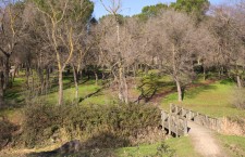 Parque de Las Presillas de Alcorcón