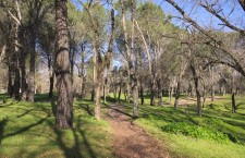 Parque de Las Presillas de Alcorcón