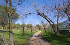 Parque de Las Presillas de Alcorcón