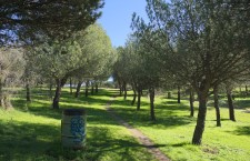 Parque de Las Presillas de Alcorcón