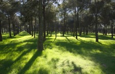 Parque de Las Presillas de Alcorcón