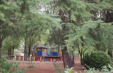 Parque Salvador Allende de Coslada