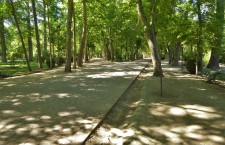 Jardín del Príncipe de Aranjuez