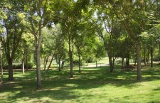Parque Natural El Soto