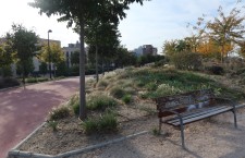 Parque PAU 4 de Móstoles