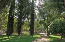 Parque del V Centenario de San Martín de la Vega