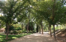 Parque del V Centenario de San Martín de la Vega